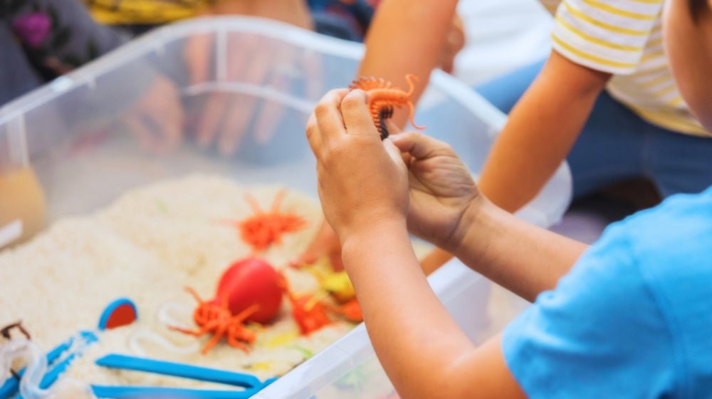 What is a Sensory Kid? innobaby