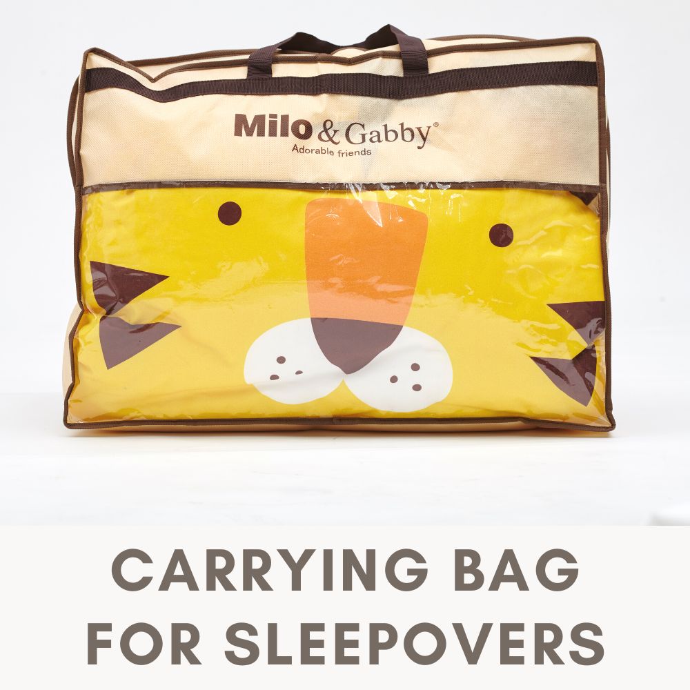 Carrying bag for sleepovers