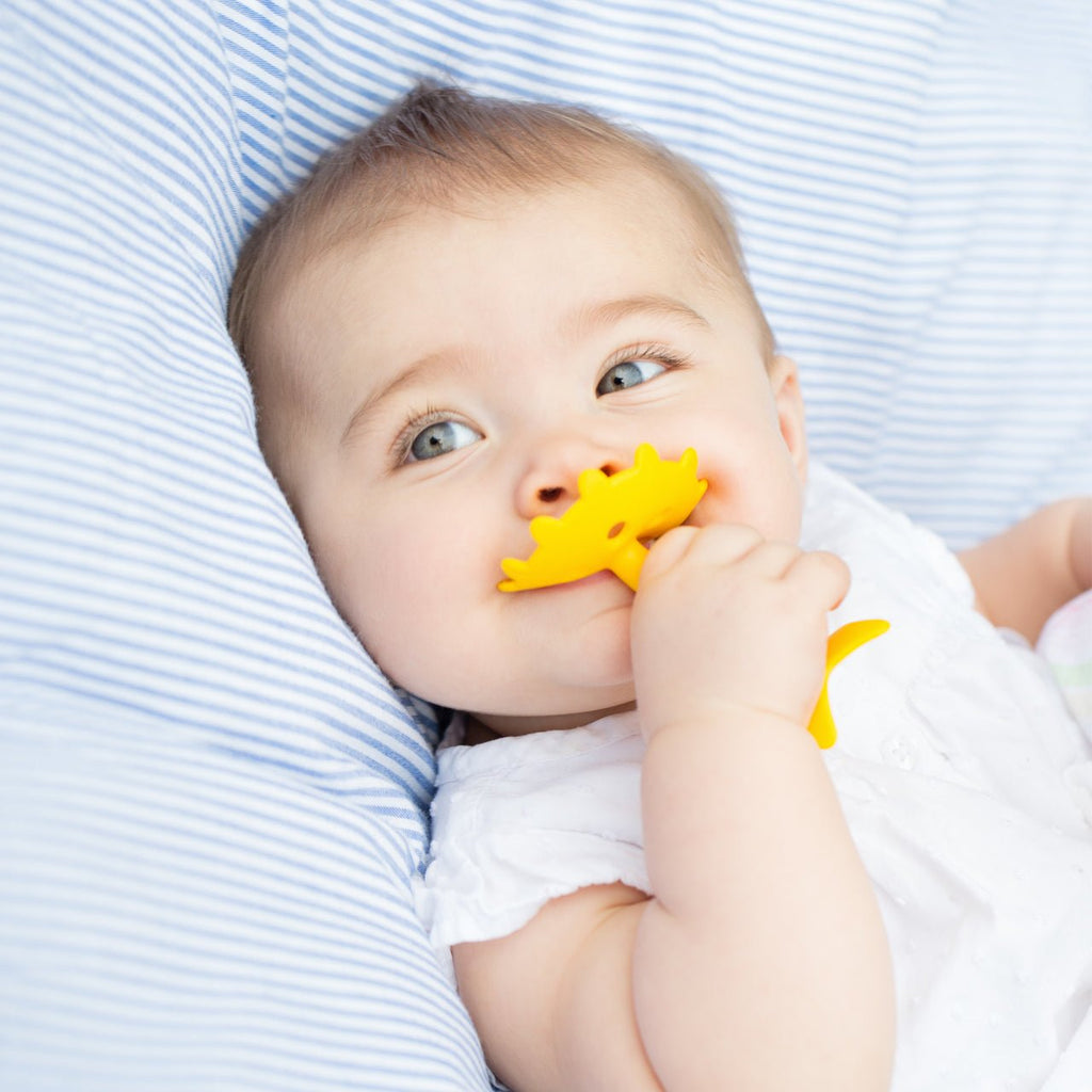 EZ Grip Star Teether / Oral Sensory Developmental Toy - innobaby
