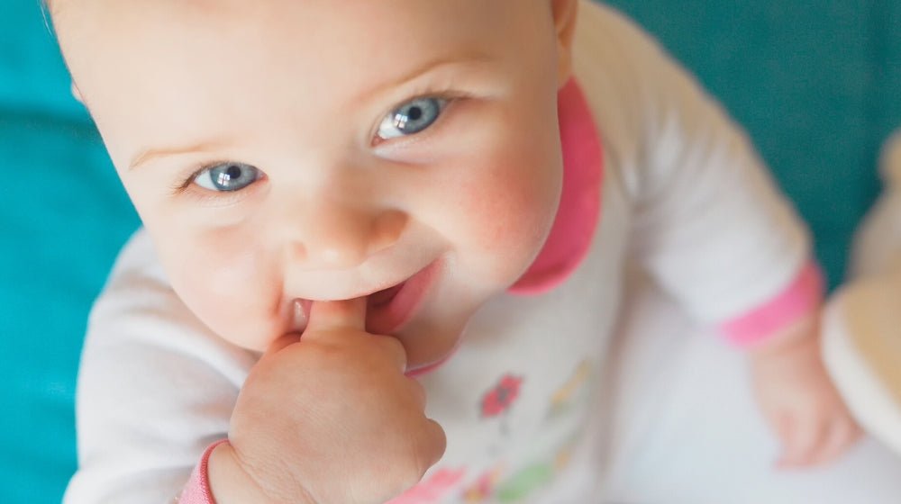 Set Your Baby Up With Good Oral Development For Life - innobaby