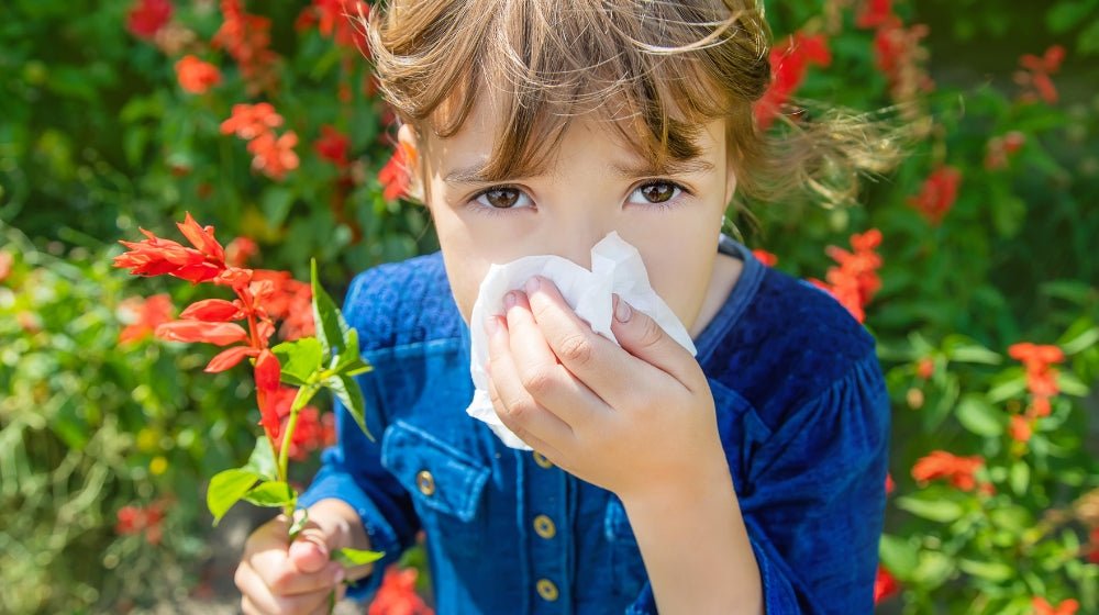 Spring Allergy Season with Kids: 3 Tips - innobaby