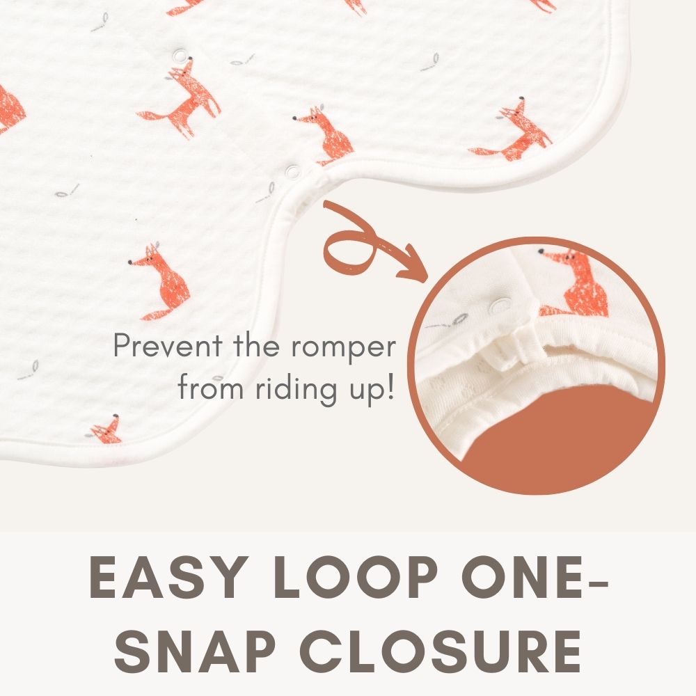 Easy loop one-snap closure