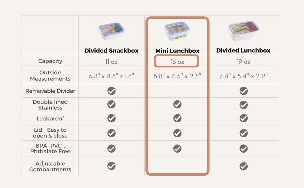 Mini Lunchbox size chart