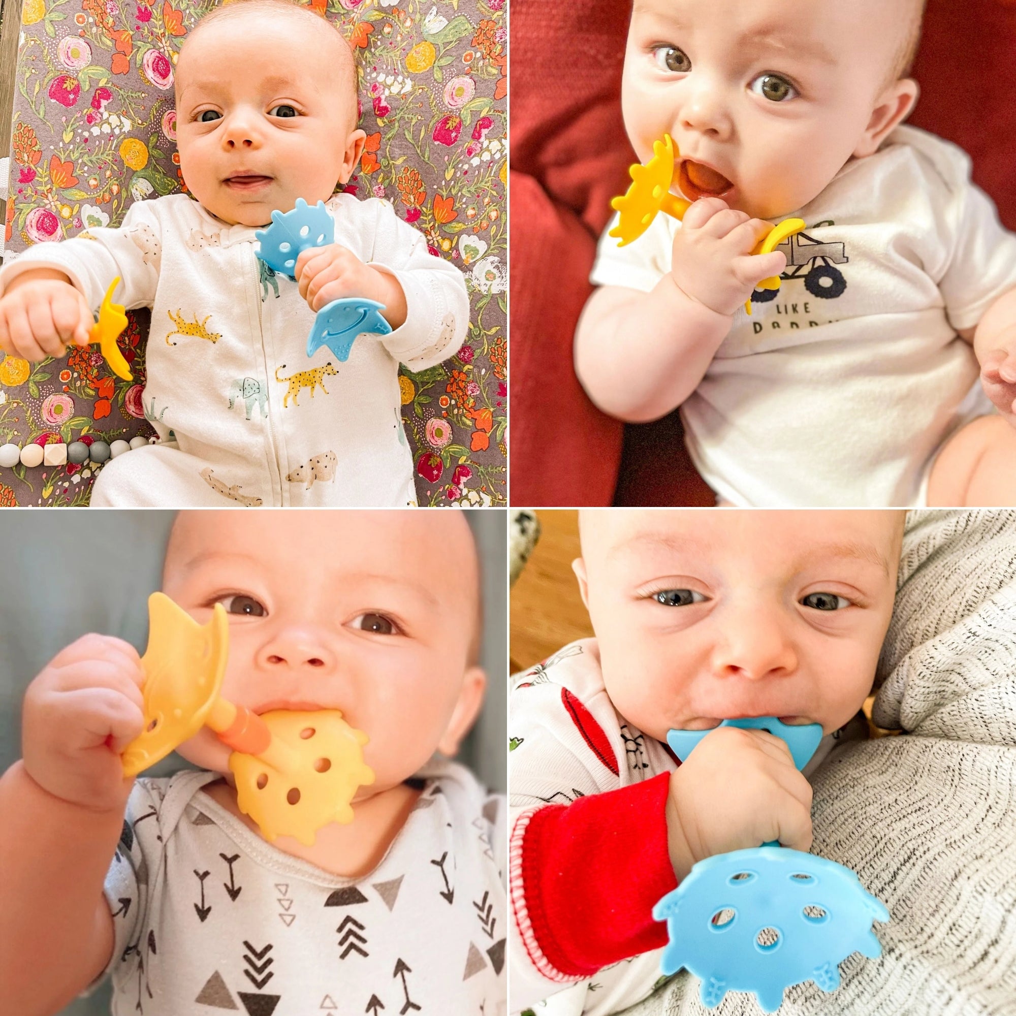 EZ Grip Massaging Teether Set - innobaby