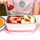 Stainless Divided Snackbox & Lunchbox Set - innobaby