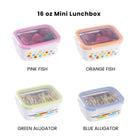 Stainless Mini Lunchbox & Snackbox Set - innobaby