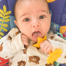 Teething Starter Set (Includes Star Teether, Mini Fish, Organic Cotton Bib) - innobaby