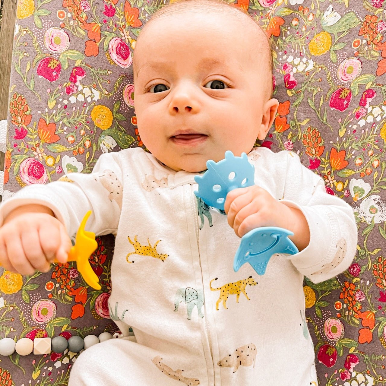 Teething Starter Set (Includes Star Teether, Mini Fish, Organic Cotton Bib) - innobaby