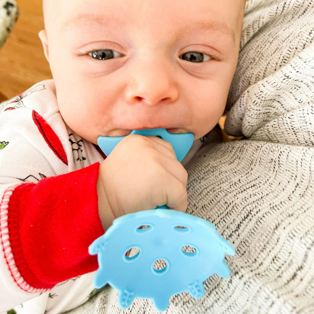 EZ Grip Star Teether / Oral Sensory Developmental Toy - innobaby