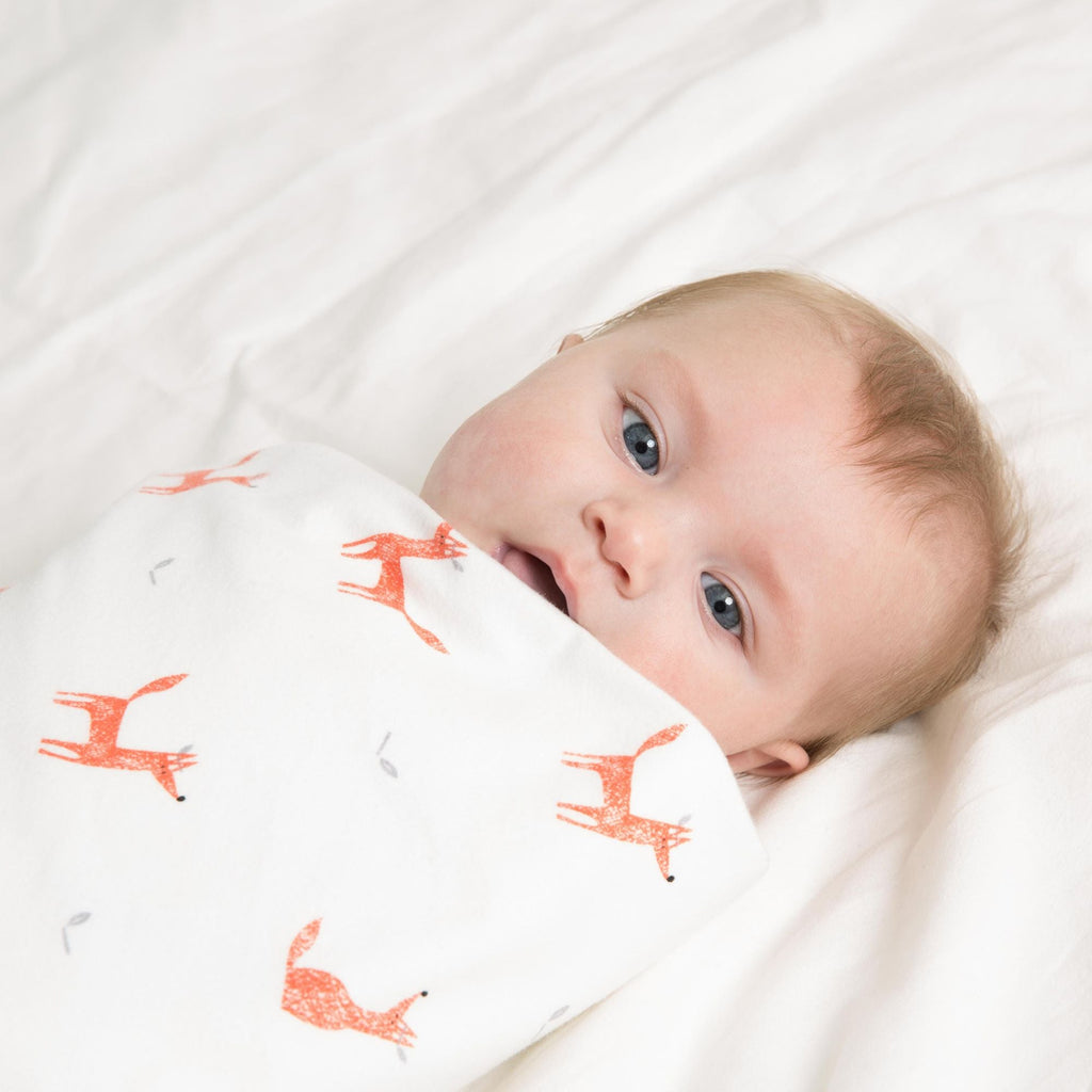 Little Fennec Flannel Cuddle Blanket - innobaby